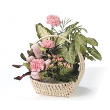 Basket Arrangement with Exotic Tropicals