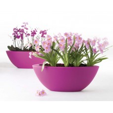 Two 12" Oval Orchid Planters