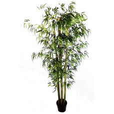 7' Bamboo Tree - Silk