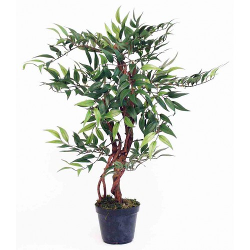 20" Ruscus Tree - Silk