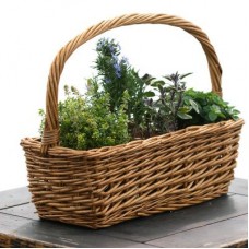 Herbal Baskets