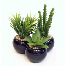 5.5" Cactus Planter-Silk