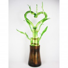 Heart Shaped in a Vase